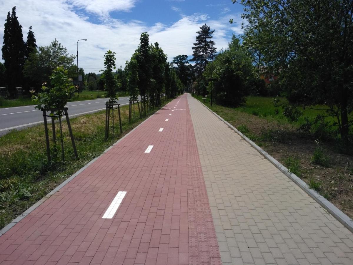 Apartment U Kempu Dolni Lomna